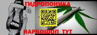 гашик Ливны