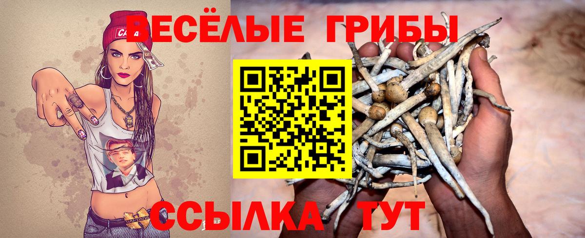 Галлюциногенные грибы Magic Shrooms Черногорск