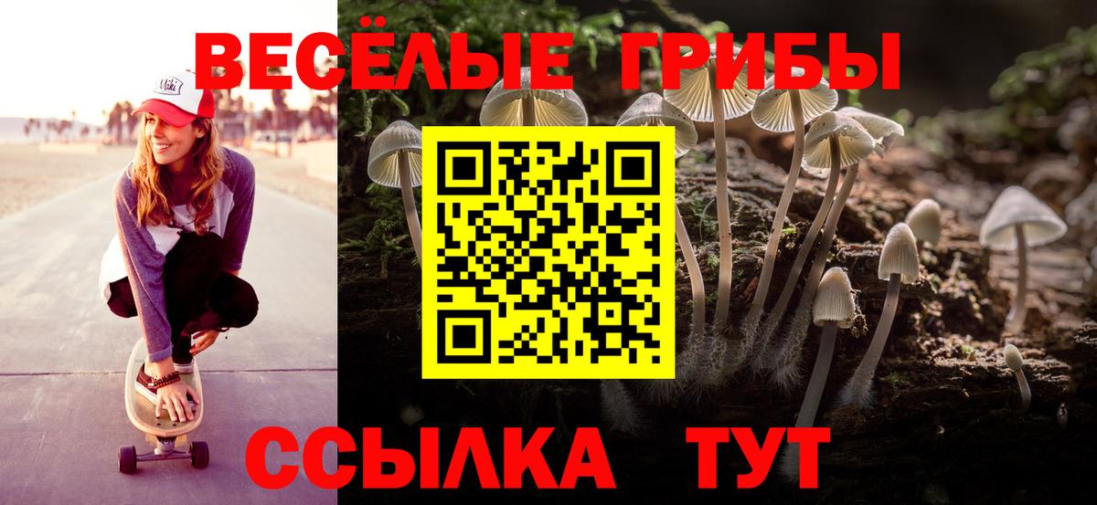 Псилоцибиновые грибы мицелий  Вход с VPN  Черногорск 