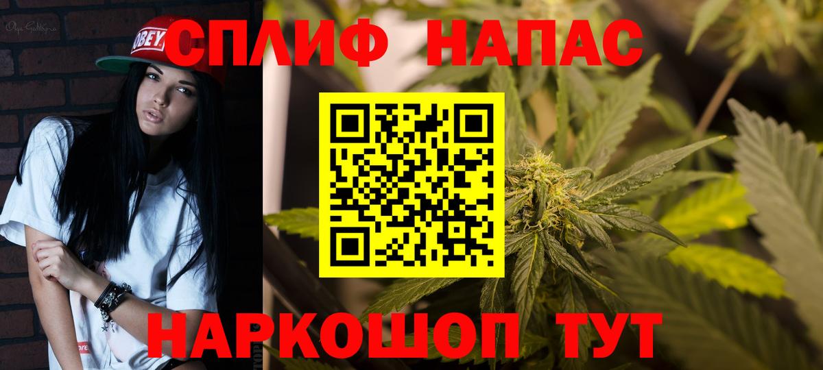 Конопля гибрид Черногорск